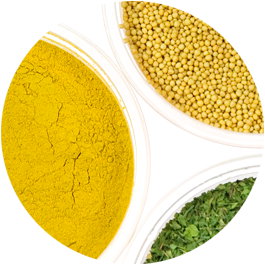 AGROPOLE заправы з сушанай гародніны і зеляніны печанай цыбулі і фаршу фірма Польшча